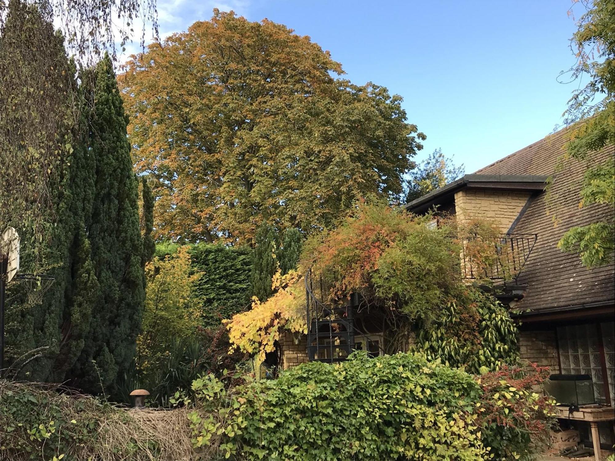 Sandford Meadow Guest House Kennington  Rum bild