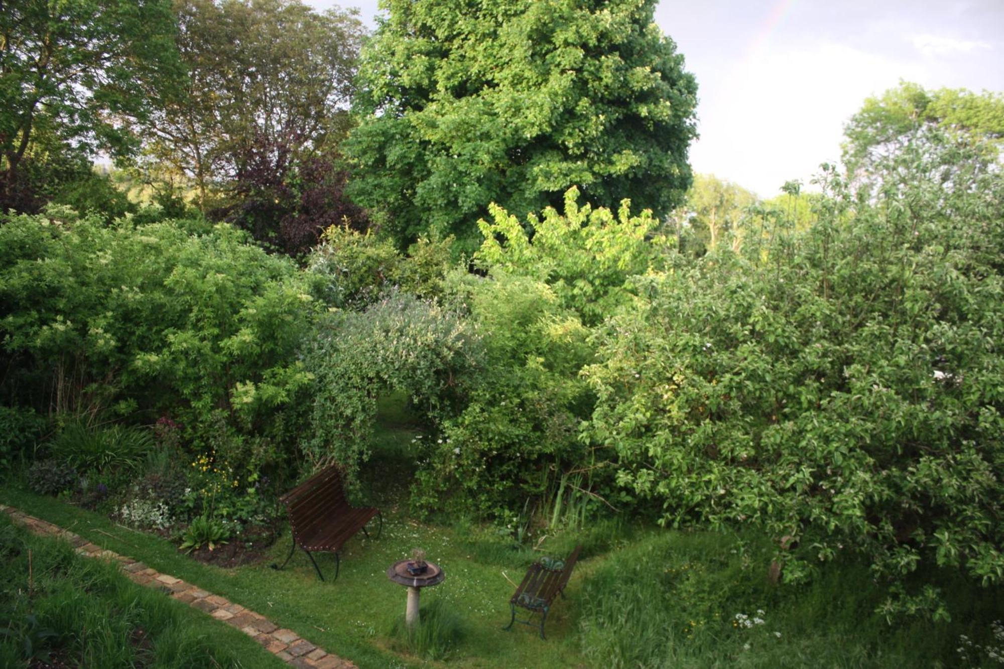 Sandford Meadow Guest House Kennington  Exteriör bild