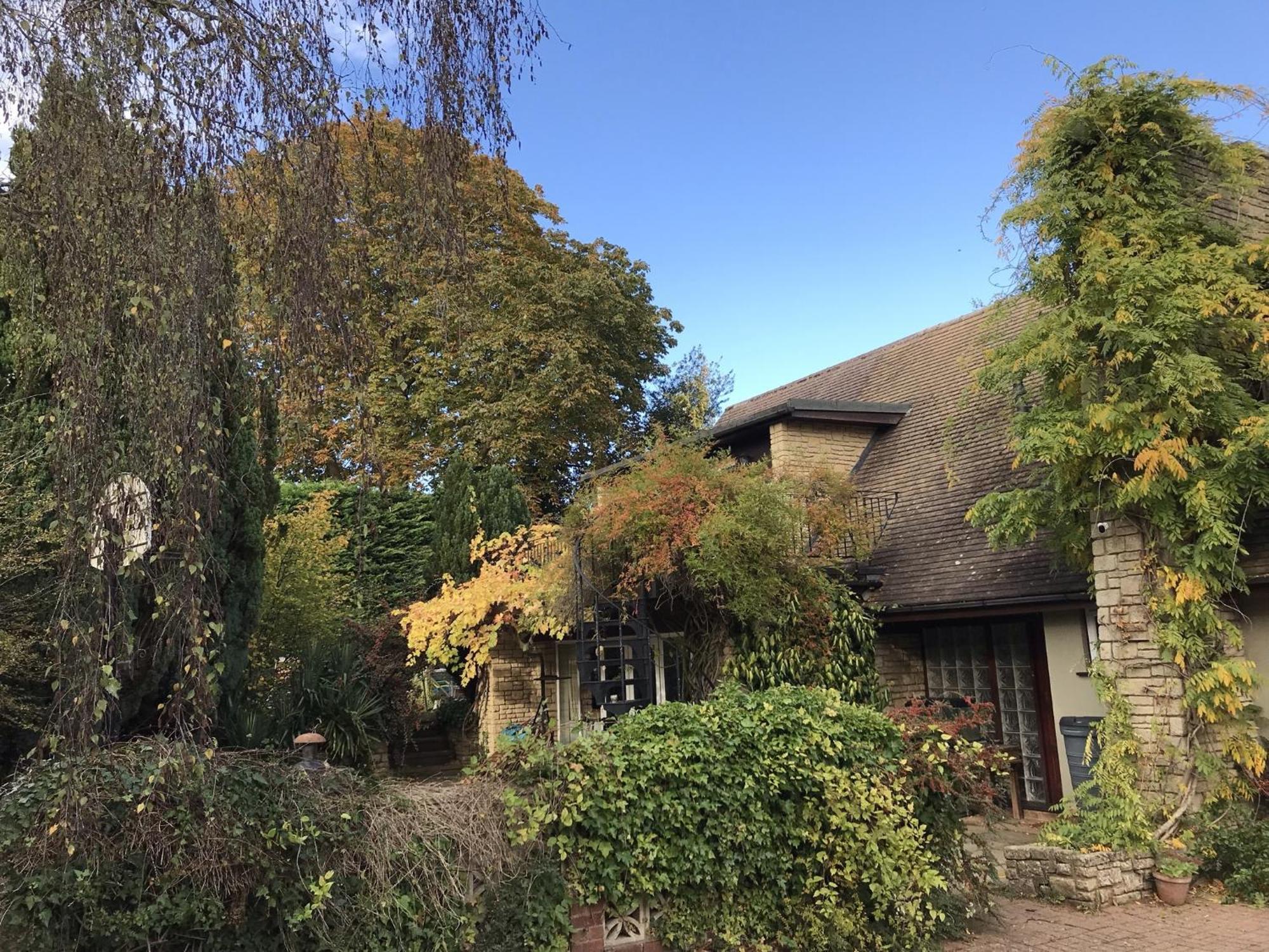 Sandford Meadow Guest House Kennington  Exteriör bild